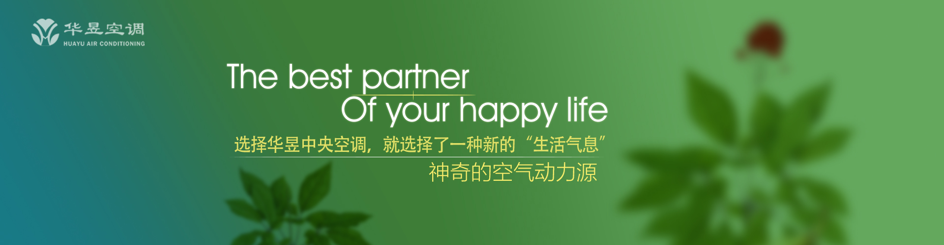 强干弱枝网